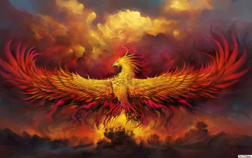 fiery-phoenix-oboi-960x600_1.jpg